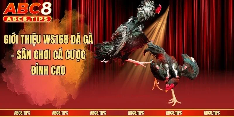 WS168 Đá Gà - Sảnh Cá Cược Sôi Động, Uy Tín Nhất Hiện Nay 2 Giới thiệu WS168 đá gà - Sân chơi cá cược đỉnh cao