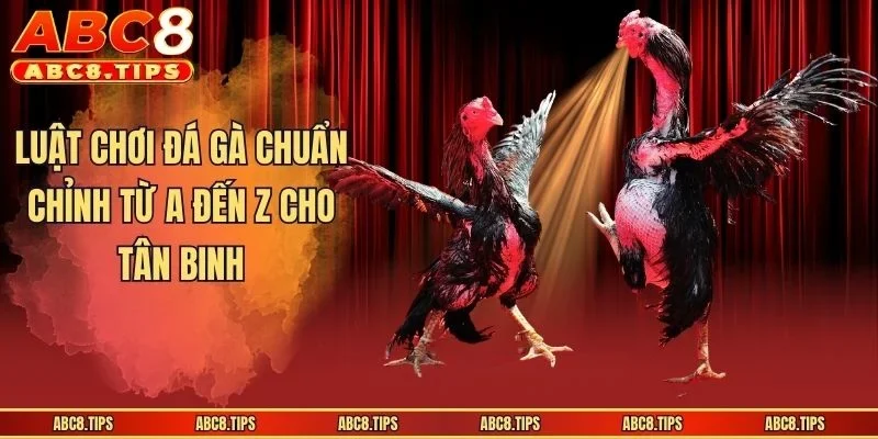 Luật Chơi Đá Gà Chuẩn Chỉnh Từ A Đến Z Cho Tân Binh