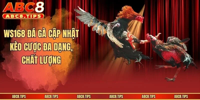WS168 Đá Gà - Sảnh Cá Cược Sôi Động, Uy Tín Nhất Hiện Nay 3 WS168 đá gà cập nhật kèo cược đa dạng, chất lượng